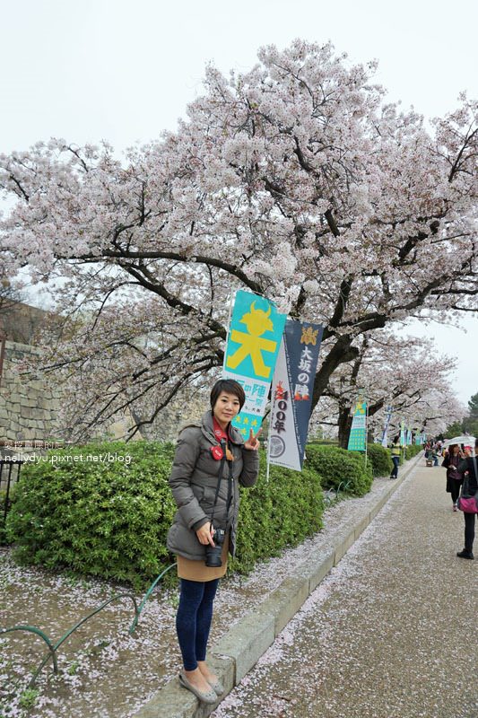 日本賞櫻-大阪城公園02.JPG