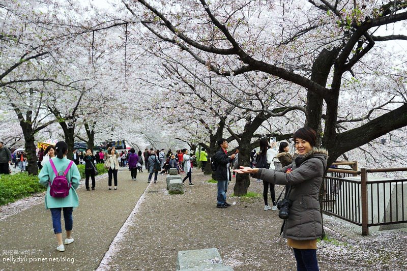 日本賞櫻-大阪城公園06.JPG