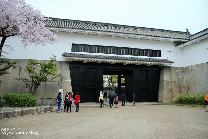 日本賞櫻-大阪城公園10.JPG