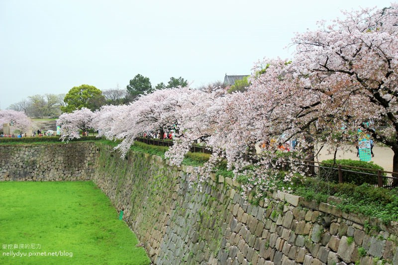 日本賞櫻-大阪城公園16.JPG