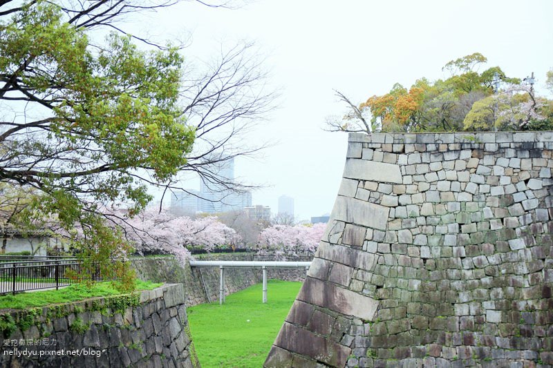 日本賞櫻-大阪城公園15.JPG