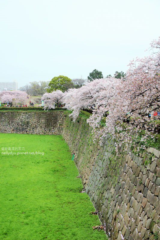 日本賞櫻-大阪城公園17.JPG