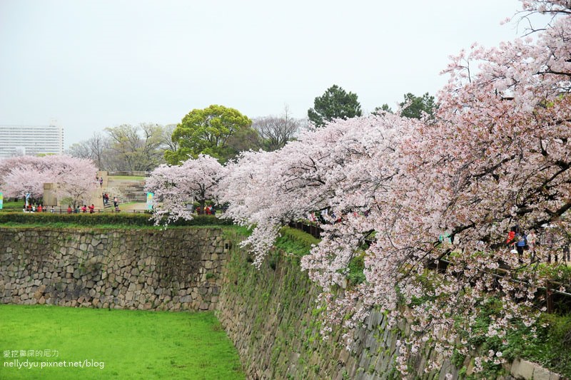 日本賞櫻-大阪城公園18.JPG