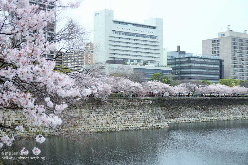 日本賞櫻-大阪城公園34.JPG