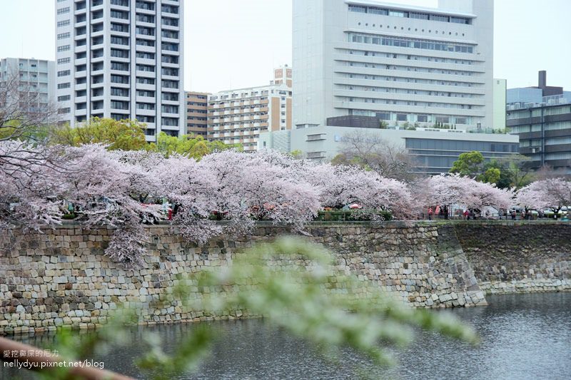 日本賞櫻-大阪城公園33.JPG