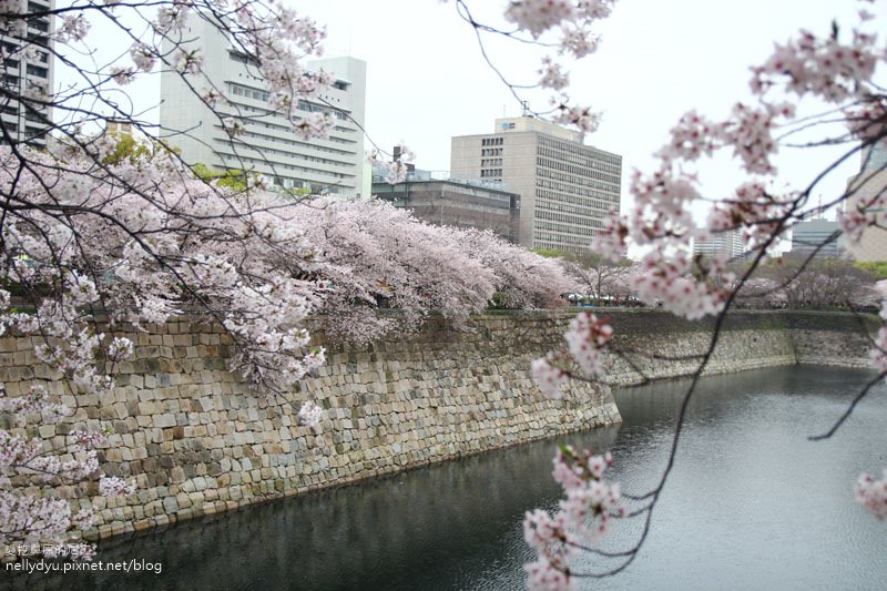 日本賞櫻-大阪城公園41.JPG