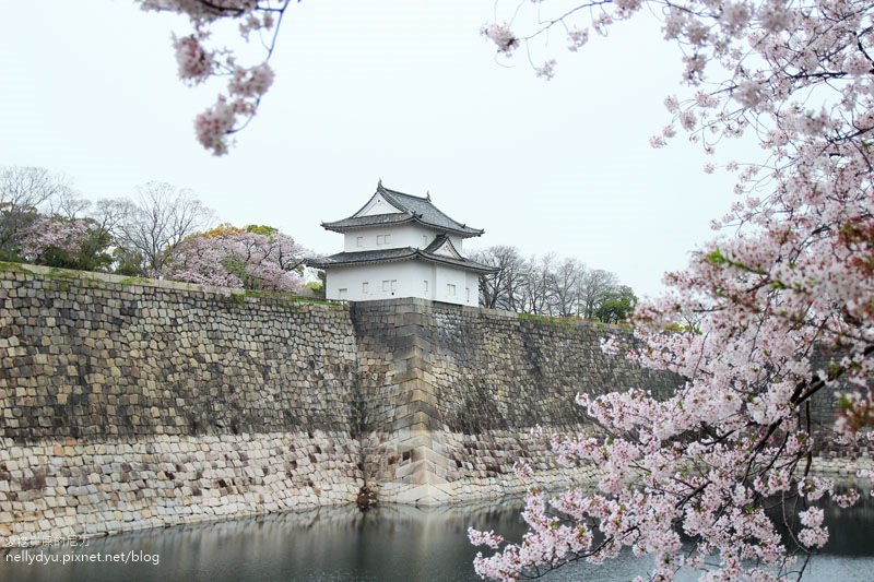 日本賞櫻-大阪城公園43.JPG