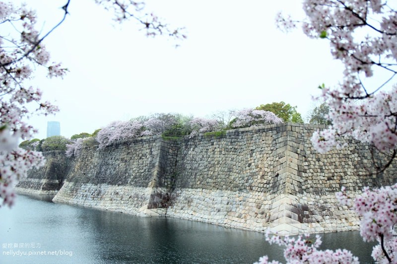 日本賞櫻-大阪城公園45.JPG