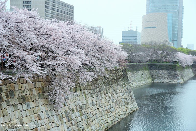 日本賞櫻-大阪城公園44.JPG