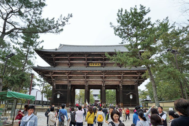 東大寺、奈良公園02.JPG