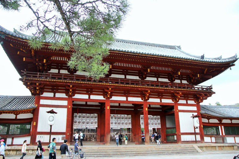 東大寺、奈良公園19.JPG