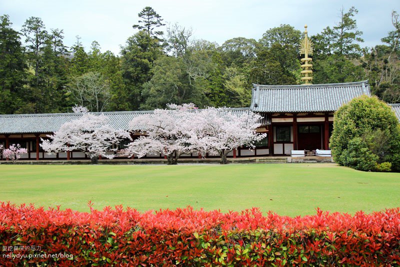 東大寺、奈良公園26.JPG