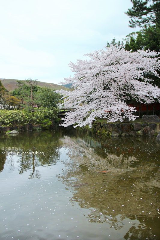 東大寺、奈良公園34.JPG