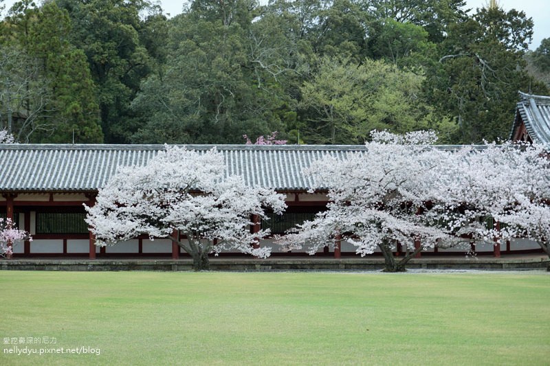 東大寺、奈良公園03.JPG