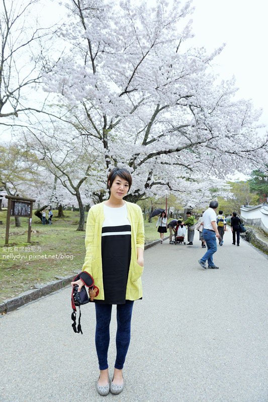 東大寺、奈良公園04.JPG