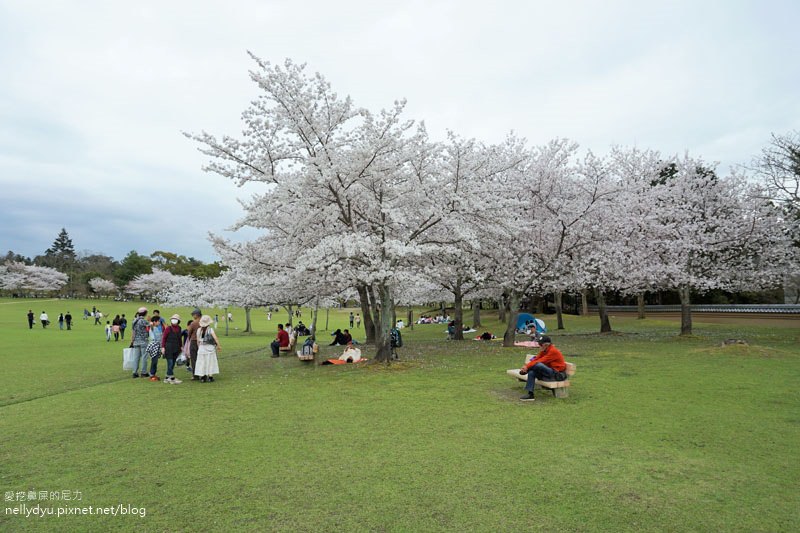 東大寺、奈良公園06.JPG