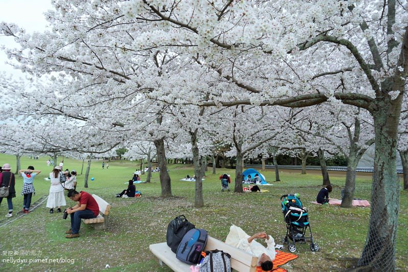 東大寺、奈良公園07.JPG