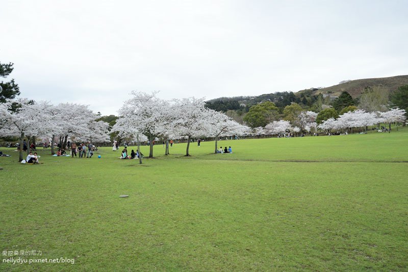 東大寺、奈良公園09.JPG