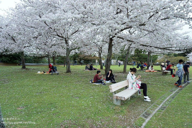 東大寺、奈良公園08.JPG