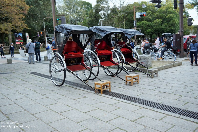 東大寺、奈良公園13.JPG