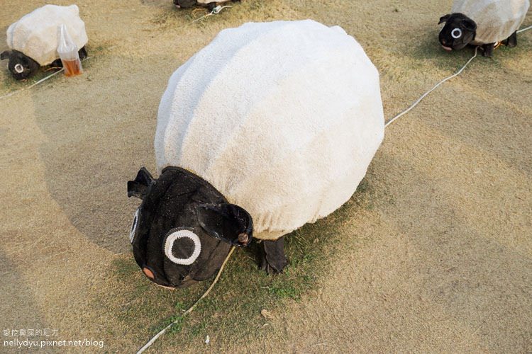 中央公園13.JPG