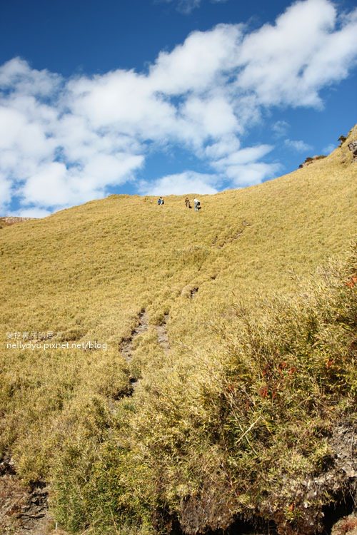 合歡山主峰08.JPG