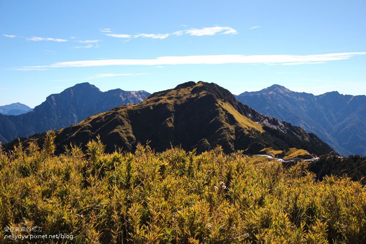 合歡山主峰26.JPG