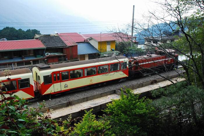 嘉義縣阿里山02.jpg