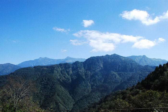 嘉義縣阿里山04.jpg