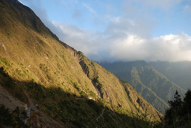 嘉義縣阿里山06.jpg