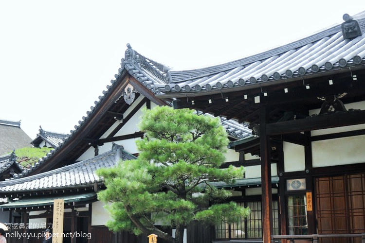 平等院14.JPG