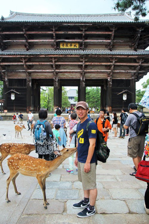 奈良公園11.JPG