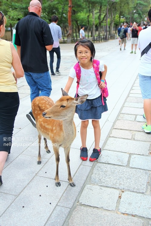 奈良公園13.JPG