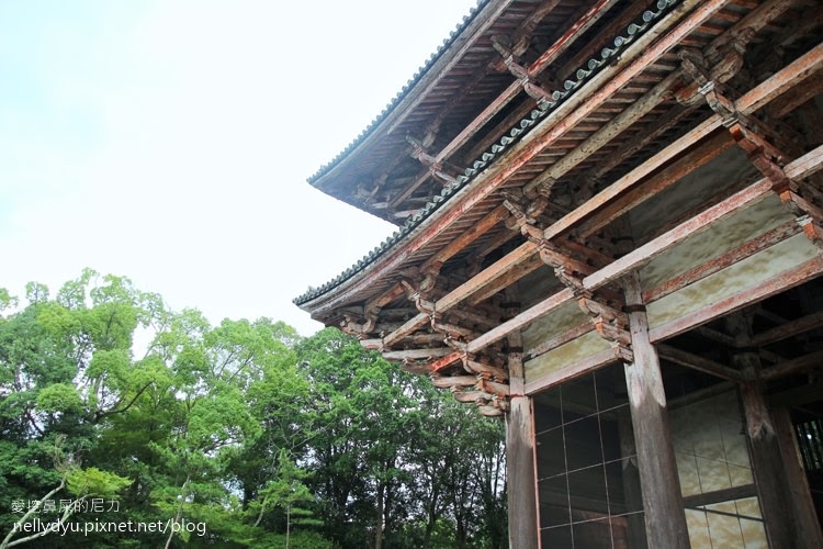 日本東大寺07.JPG