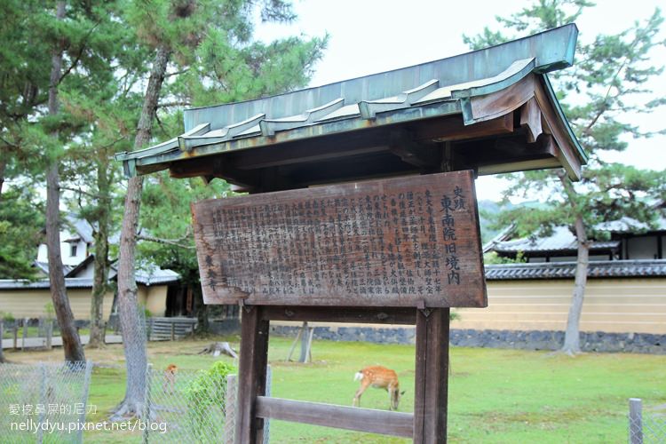 日本東大寺08.JPG