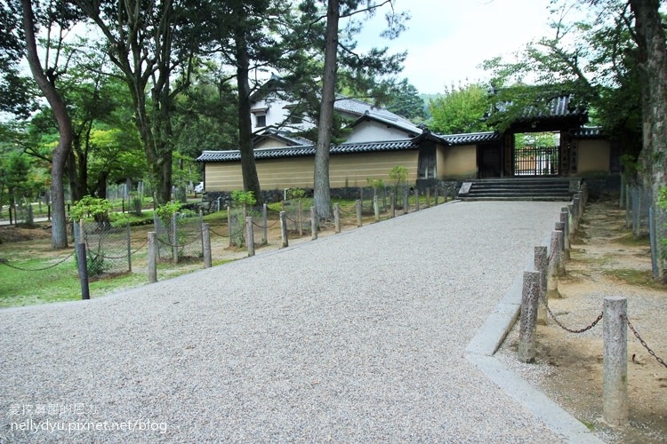 日本東大寺09.JPG