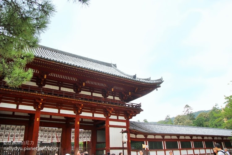 日本東大寺11.JPG