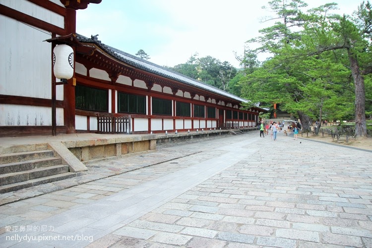 日本東大寺12.JPG