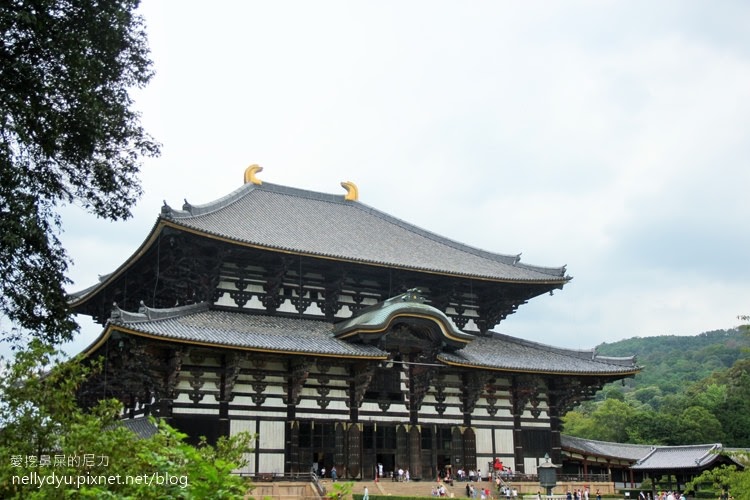 日本東大寺14.JPG