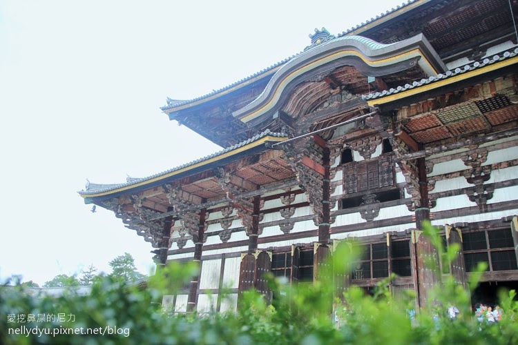 日本東大寺25.JPG