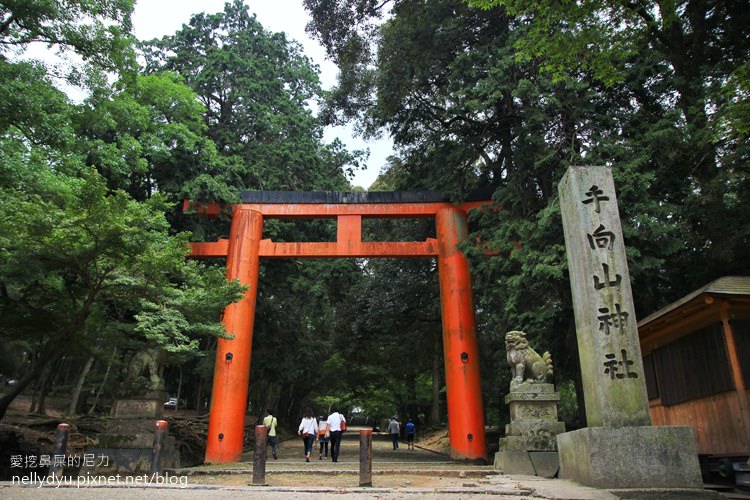 日本東大寺37.JPG