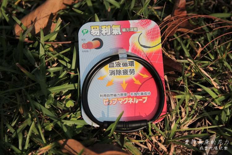 易利氣05.JPG