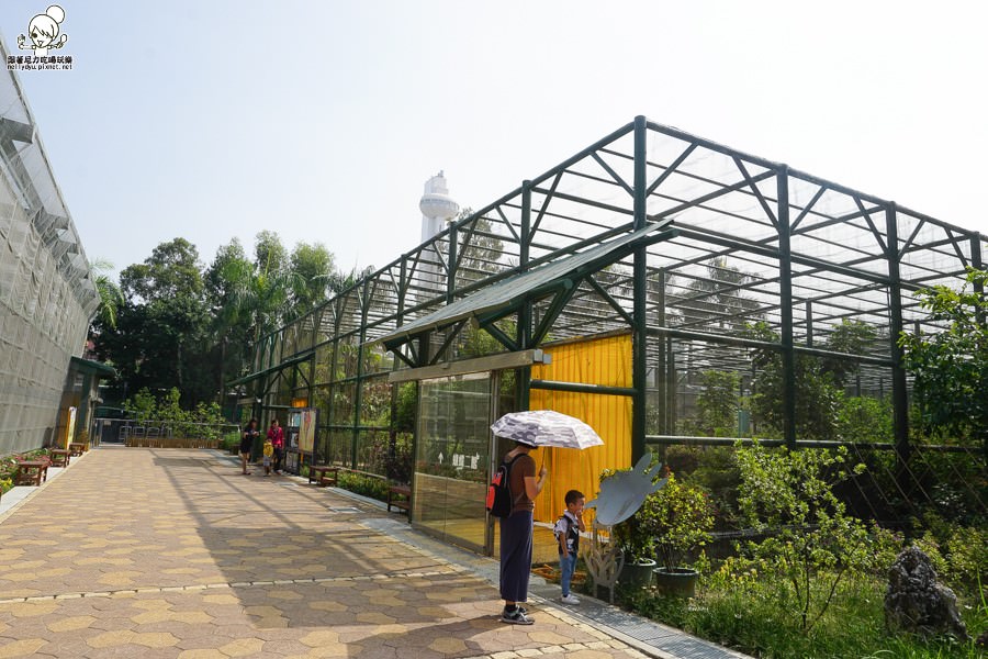 高雄旅遊 蝴蝶園 金獅湖 高雄景點 免費參觀 高雄好玩 親子出遊