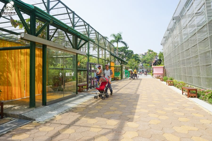 高雄旅遊 蝴蝶園 金獅湖 高雄景點 免費參觀 高雄好玩 親子出遊