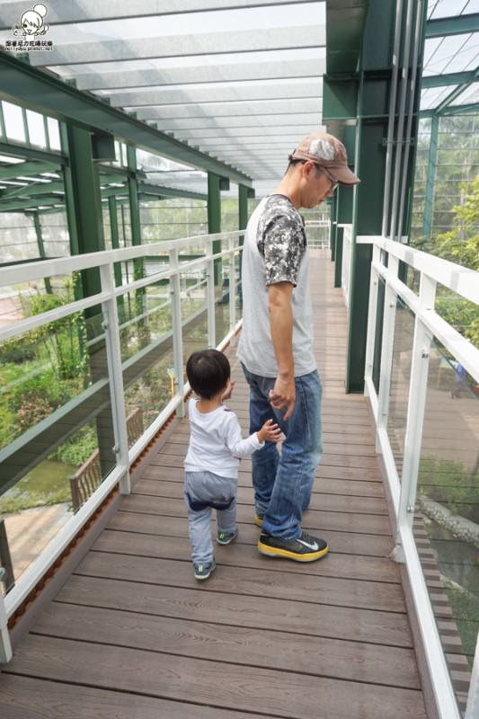 高雄旅遊 蝴蝶園 金獅湖 高雄景點 免費參觀 高雄好玩 親子出遊