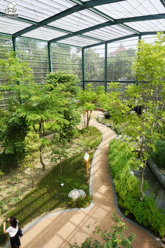 高雄旅遊 蝴蝶園 金獅湖 高雄景點 免費參觀 高雄好玩 親子出遊