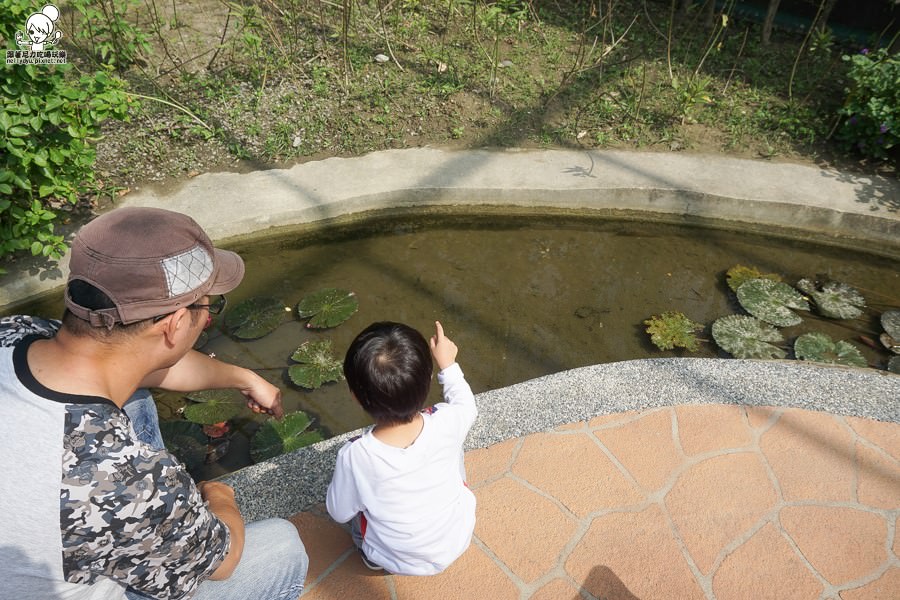 高雄旅遊 蝴蝶園 金獅湖 高雄景點 免費參觀 高雄好玩 親子出遊