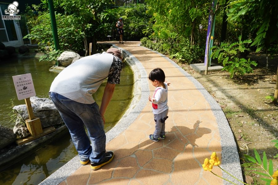 高雄旅遊 蝴蝶園 金獅湖 高雄景點 免費參觀 高雄好玩 親子出遊