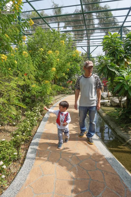 高雄旅遊 蝴蝶園 金獅湖 高雄景點 免費參觀 高雄好玩 親子出遊