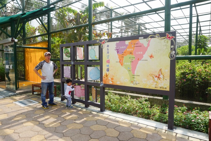 高雄旅遊 蝴蝶園 金獅湖 高雄景點 免費參觀 高雄好玩 親子出遊